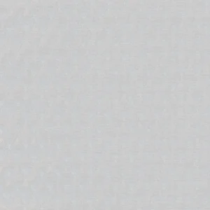 204519