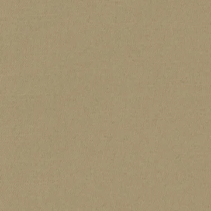 204641
