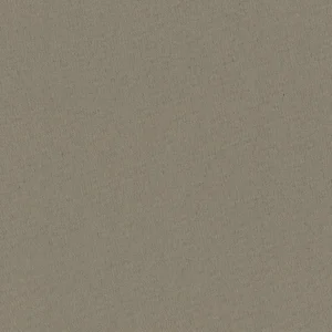 204642