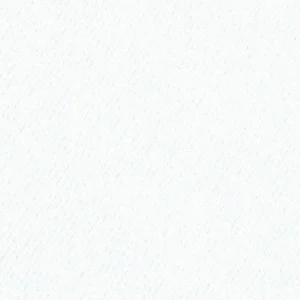 204647