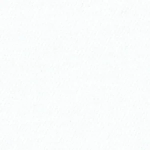 204748