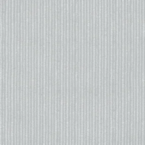 204907