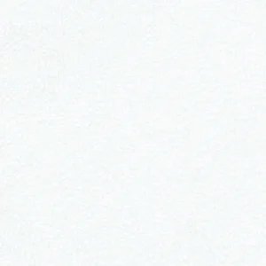 204916