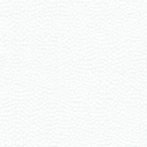 204919