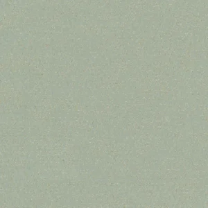 205466