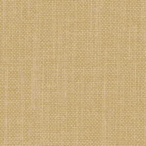 205504