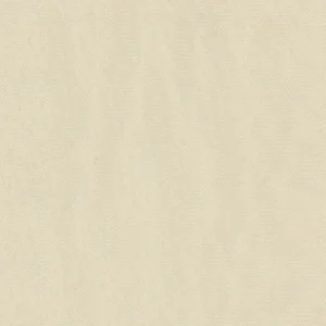223004