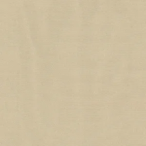 223006