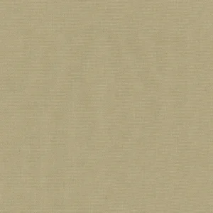 223007