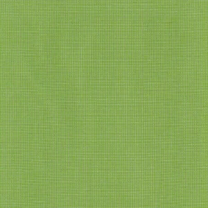 223036