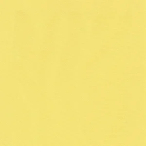 223041