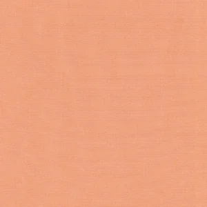 223047