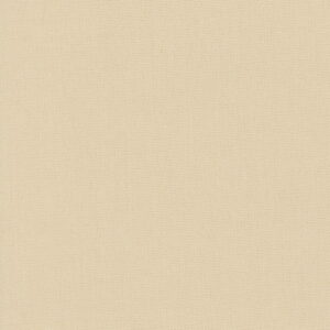 49205
