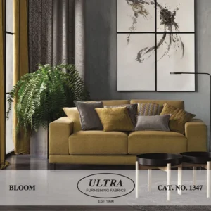 Bloom